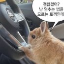 머릿속을 지배한 용기를 삼킨 비겁함