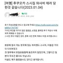 다시 시작된 일본의 와사비 테러 이미지