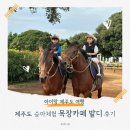 성읍리-4 | 제주 아이랑 가볼만한곳 카페 밭디 🐎 승마체험 송이밭코스 후기 &amp; 말 먹이주기 꿀팁