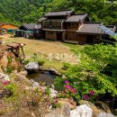 삼촌네 펜션 이미지