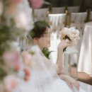 블리스플 | 밝은 홀 스냅 블리스플 계약 후기 - 상록아트홀 아트홀