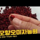 하경농장 이미지