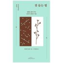 바람이 불어오는 곳 이미지