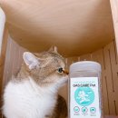 동일가스 | 고양이 화장실 냄새 제거 후기｜Gas Care Pet 가스케어펫 모래 탈취제 솔직 사용기