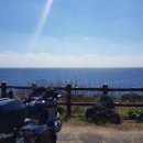 동보수산 이미지