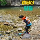 강원도 영월 무릉도원 캠핑장 : 계곡 펜션 후기