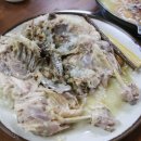 산천오리 이미지