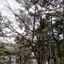 등산로(하) 이미지