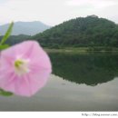 삼리경로당 이미지