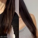 헤어비타민 | 단백질 헤어팩 손상모 셀프 복구 블라세아 비타민 헤어팩 후기