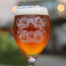 🌿버드나무 브루어리 맥주 - 강릉 감성 가득! 종류와 맛, 가격 총정리🍺(풍자 또간집)