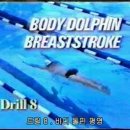 [단축드릴-3과] SA08-바디 돌핀 평영(BodyDolphinBreaststroke) 영상 이미지