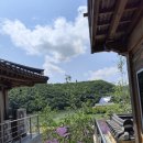 경주 6월 여행지 추천 바실라카페