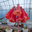 강인한농장 이미지