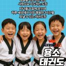용소태권도 이미지