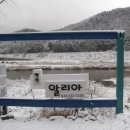 은애견