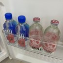 단양 펜션 감성숙소 추천 한드미모루 대만족 후기/ 원조마늘순대/ 오성통닭