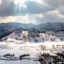 소노인터내셔널 이미지