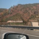 대관령로뎀나무 | 대관령펜션 : 은하수 맛집 로뎀나무펜션 1박 후기!