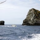 크루즈호텔(크루즈모텔) 이미지