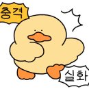비비드왁스