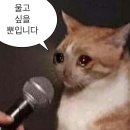 구라같은 현실.. 골절일기