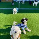 고산로211번길 이미지