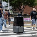 구성파출소 앞 횡단보도 이미지