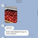 토경농장 | 방울토마토 구매후기, 토경재배 산지직송이 더 맛있는 이유