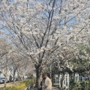 서운사거리