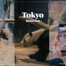 동원전통시장상점가 | 일본 도쿄 여행 우에노 동물원 지하철패스로 가볼만한곳