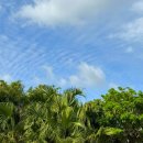 슈리네 | 오키나와 슈리성 후기｜나하 관광지에서 꼭 가봐야 할 오키나와 관광지