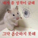 Ep.53 - 짙은 농도에 정신이 혼미한😇 신(神)인가수 도재정 활동기(~12 May, 2023)