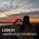 DE060 | 스페인 포르투갈 9박11일 자유여행 일정(5) 리스본 여행 맛집 숙소 리스보아카드