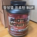 비유피 | 장성엽 프로틴 몬스터 [BUP] 비유피 에이트초코맛 단백질 보충제 내돈내산 리얼 후기 리뷰