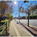 우리집공인중개사사무소 이미지