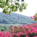 어등산CC 이미지