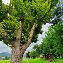 기북초등학교 이미지