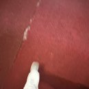 성북문화바캉스 1회차 | [성북/성신여대] 돈암교육회관 수영장 12월 셋째주 후기(+84 수영_ 84일차 수린이)