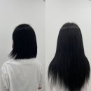 우아지다붙임머리