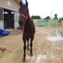 천해 이미지
