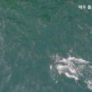 종달로가 이미지