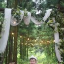 제주나래 이미지