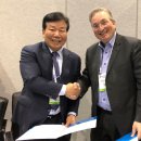 라이언 메디칼 이미지