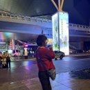 빛나는 꿈을 담은 드림캐쳐 | 3월 장가계 패키지 여행 후기 | 효도관광인 줄 알았는데 2만보 극기훈련 (천문산·원가계)