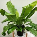 한가람마취통증의학과의원 이미지