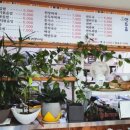 오리지날충무김밥 이미지