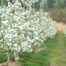 가재골농장 이미지