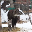 복덩이 건강센터 이미지