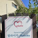쉼펜션민박 이미지